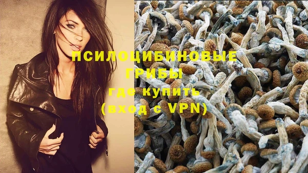 ПСИЛОЦИБИНОВЫЕ ГРИБЫ Заволжск