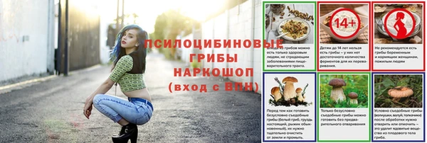 дживик Зерноград