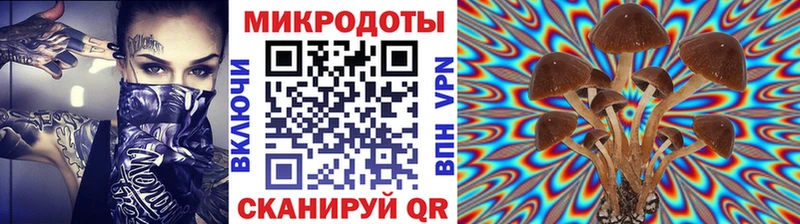 Купить  Мурманск  Псилоцибиновые грибы Cubensis 